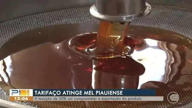 no Piauí exportação de mel é afetada após tarifa dos EUA