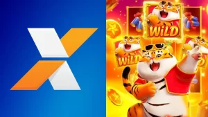 aposta na caixa caixa bet